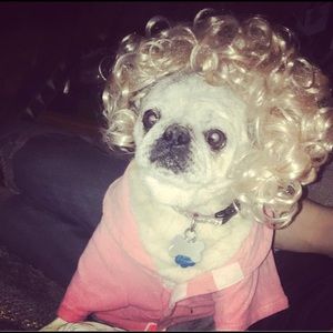 Meet your Posher, Lynessa